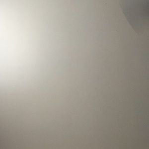 Meet your Posher, Brady